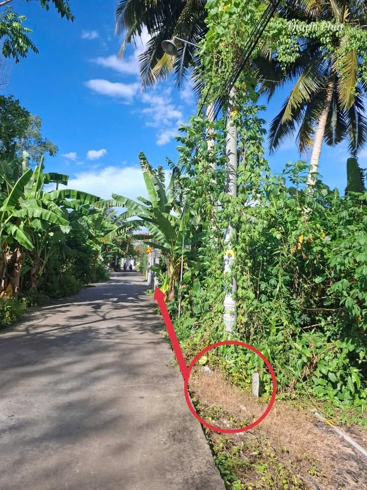 Bán Nền Cần Thơ 300m² - Gần ĐH FPT, ĐH Nam Cần Thơ, Sổ Hồng 3.1 Tỷ