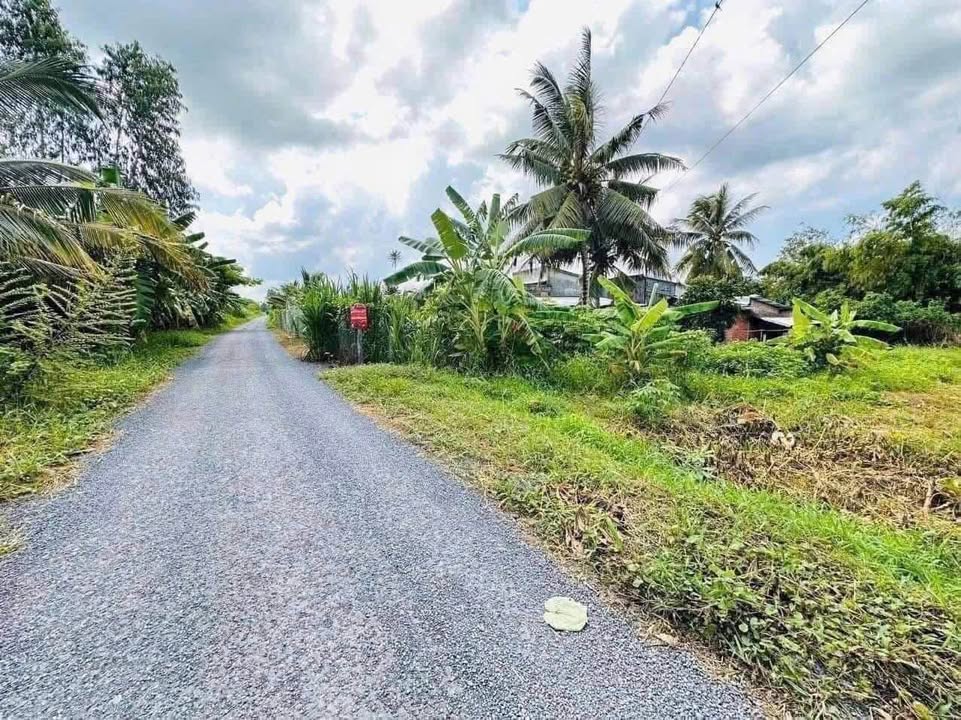 Đất nền Ngãi Tứ Tam Bình 125m² giá 279 triệu - Sổ đỏ chính chủ