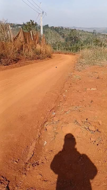 Đất Vườn Đắk Nông 1.4ha - Giá Đầu Tư 1.4 Tỷ Tại Tuy Đức