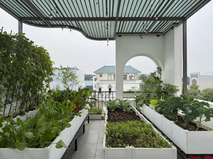 Bán Đất Vườn 600m² Phú Xuân, Thái Bình - Sổ 50 Năm, Sẵn Sàng Công Chứng