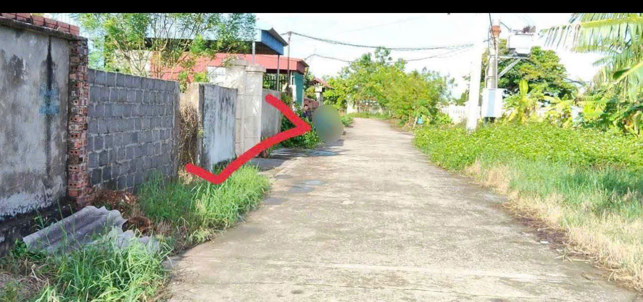 Đất Nền Thái Thụy 100m² - Sổ Đỏ Trao Tay, Giá Chỉ 1 Tỷ