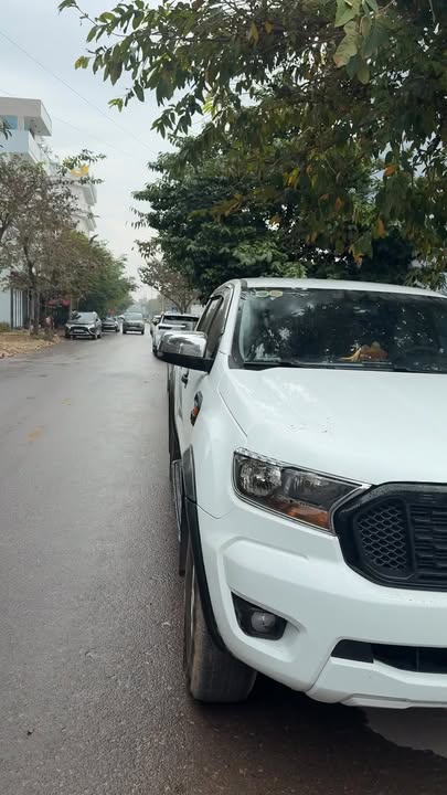 Đất Nền Góc VIP Lục Nam, Bắc Giang - 182m² Hướng Bắc Chính Chủ