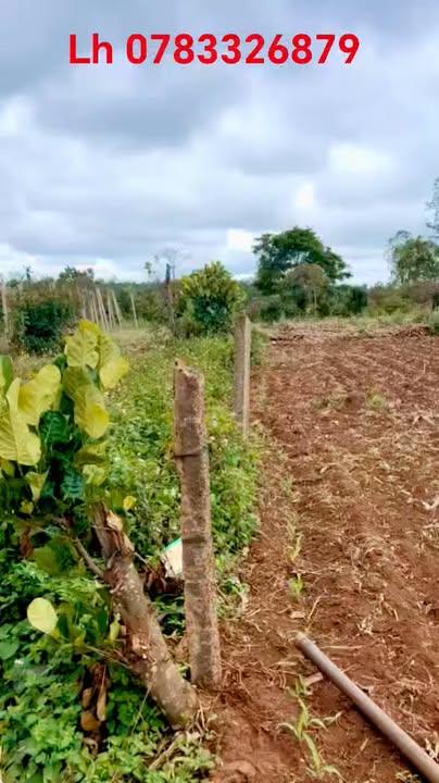 Đất nền Phú Xuân Đắk Lắk 2000m² - Tiềm năng tăng giá vượt trội!