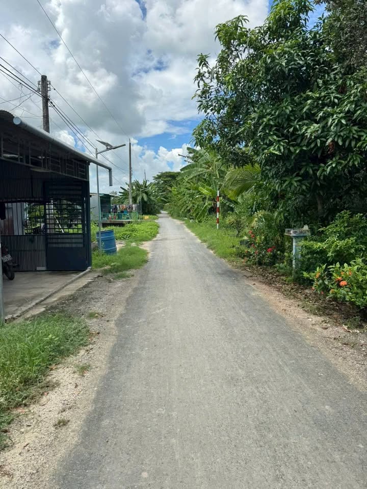 Đất thổ cư An Bình, Thoại Sơn 241.4m² - Lộ nhựa, xe hơi tới đất