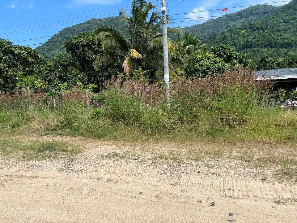 Đất vườn 9000m² Tịnh Biên An Giang – Sổ hồng rõ ràng, giá tốt!