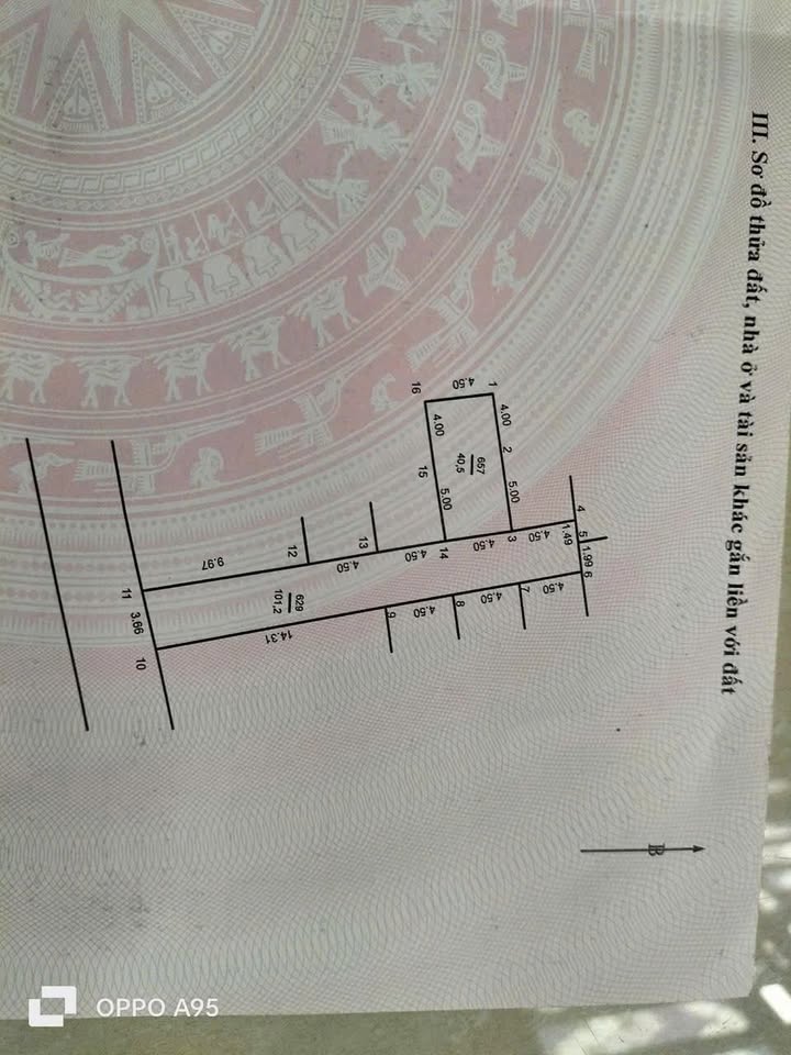 Đất nền Thường Tín 40.5m² - Vị trí trung tâm, sổ đỏ sẵn sàng