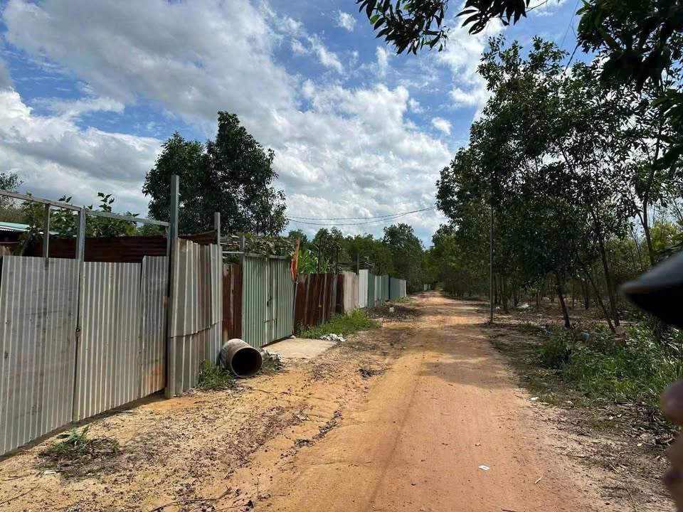 Đất Long Bình 100m² chỉ hơn 100 triệu - Đường to ô tô!