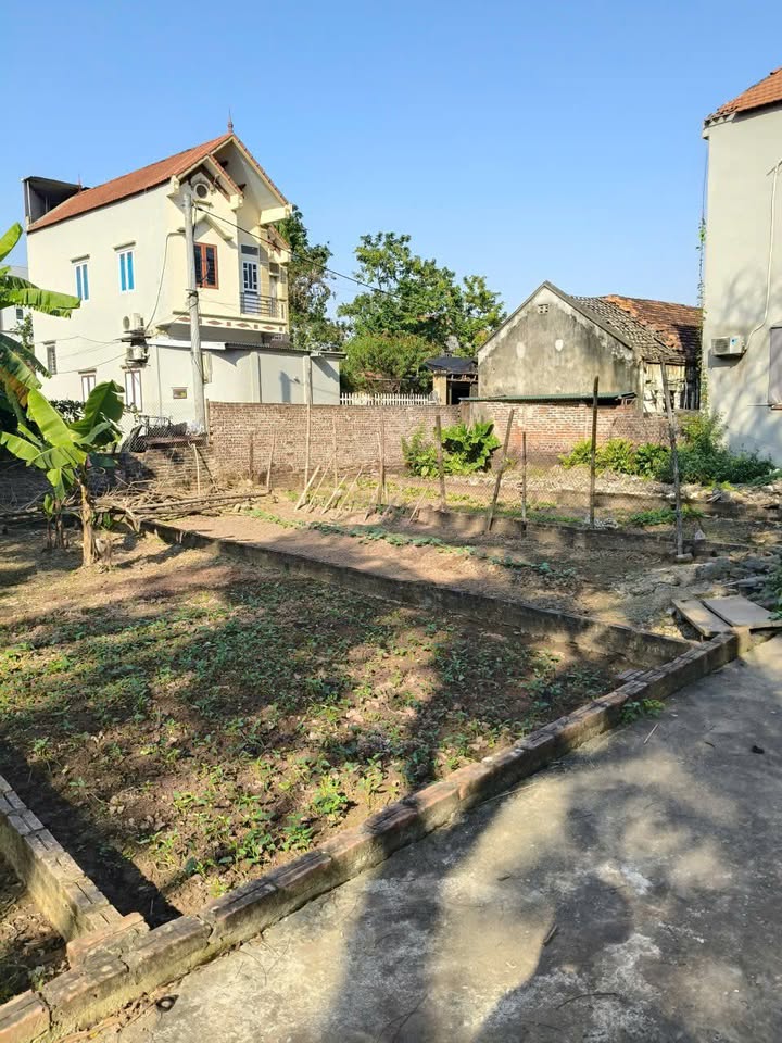 Đất nền Thanh Oai 83m² dưới 2 tỷ - Sổ đỏ chính chủ, giáp Hà Đông