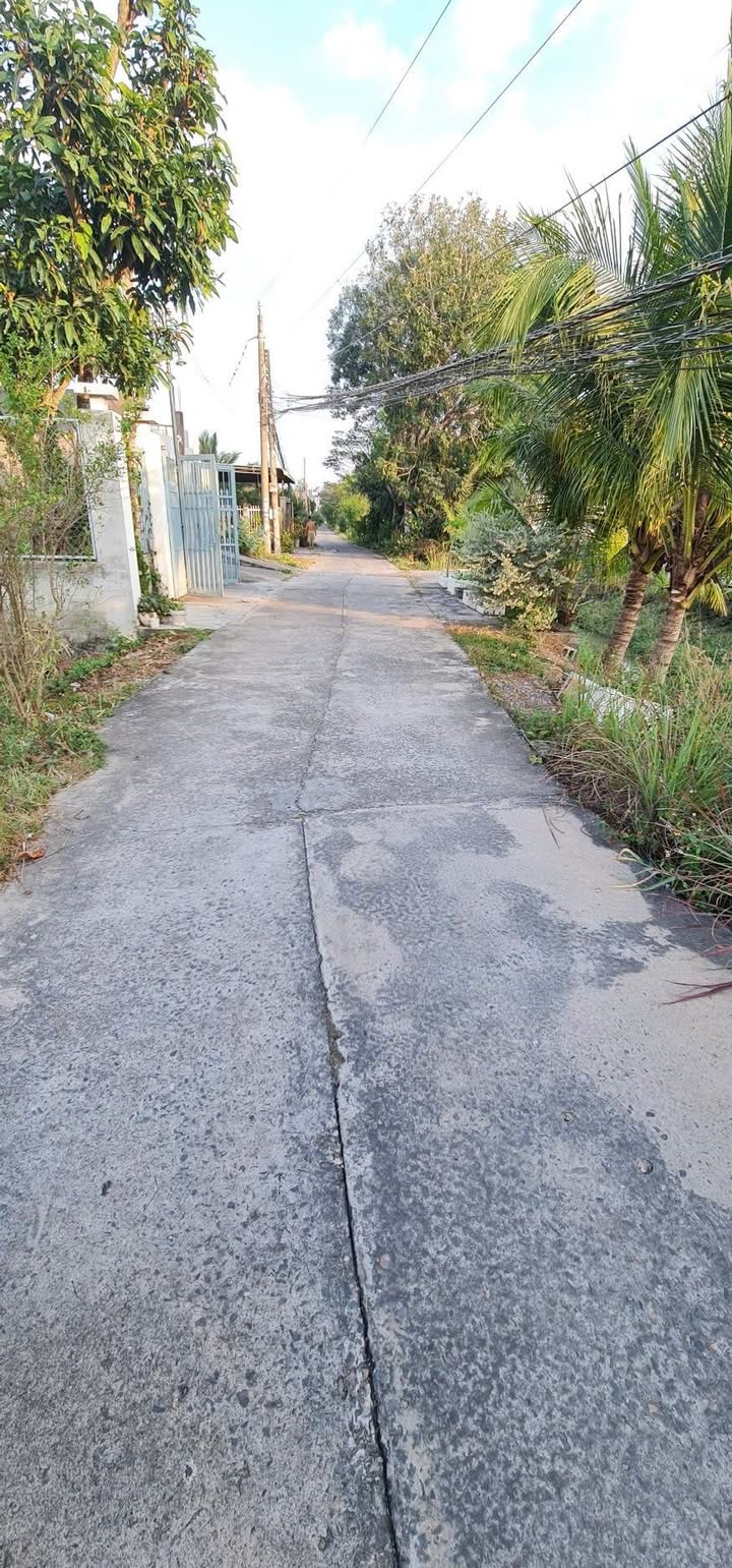 Đất Nền Phong Nẫm 330m² Sổ Đỏ Chính Chủ - Thích Hợp Đầu Tư