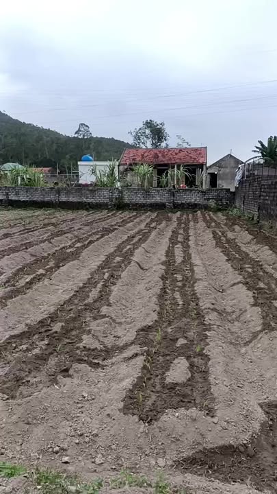 Đất nền Quỳnh Mai 110m² - Sổ đỏ chính chủ, đường ô tô!