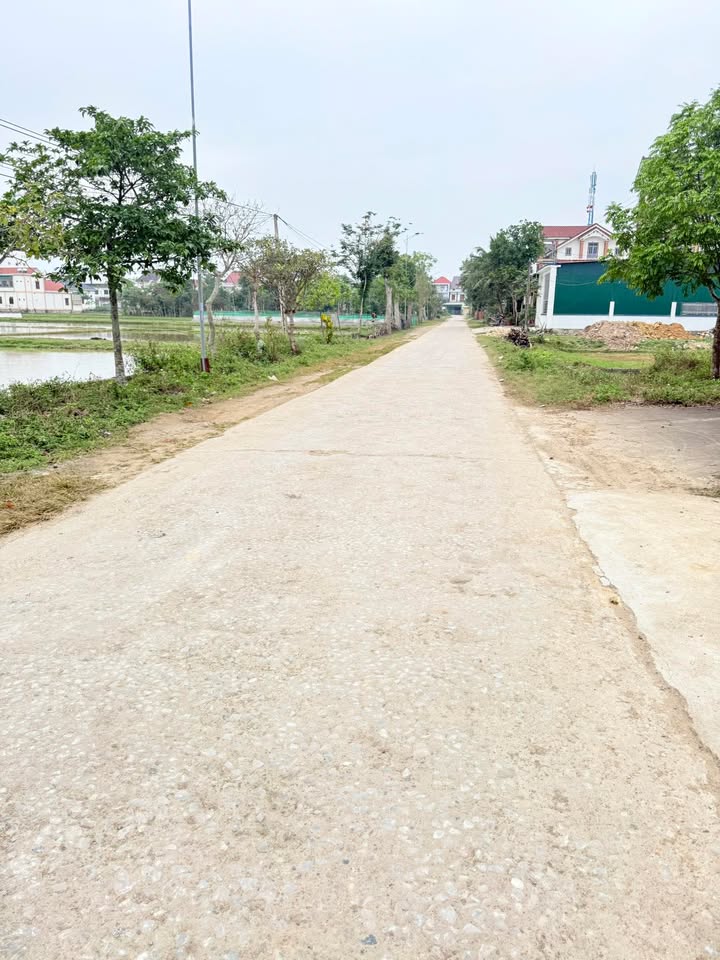 Đất nền Tân Thành, Yên Thành 324m² chỉ 1 tỷ - Tiềm năng tăng giá!