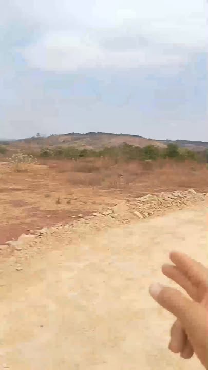 Bán Đất Nền Gia Lai 12.000m² - Sổ Đỏ Sẵn Sàng, Giá Đầu Tư 300 Triệu