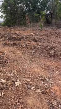 Đất nền Ia Boòng, Chư Prông 3ha giá 1.8 tỷ - Tiềm năng tăng giá!