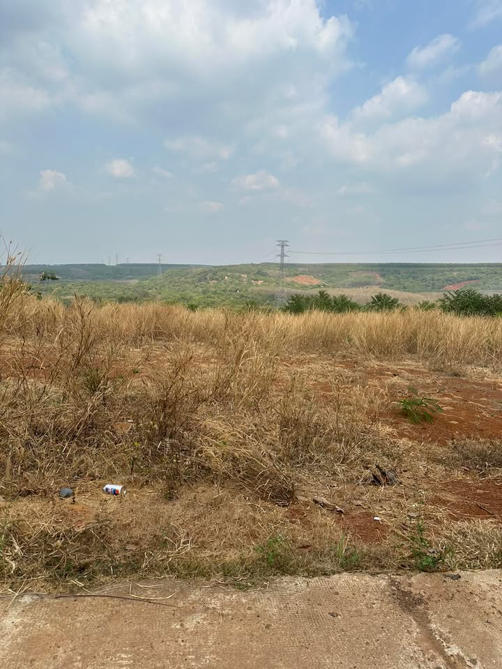 Đất Nền Sổ Đỏ 250m² Xã Bù Nho, Bình Phước - Giá 135 Triệu