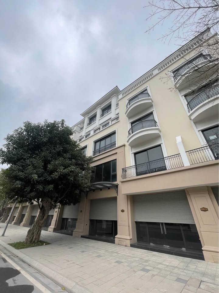 Shophouse Vin2 Đông Anh 80m² Kinh doanh đắc lợi, Sẵn sàng đón Tết