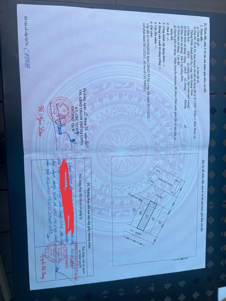 Đất nền liền kề Thôn Đình Hạ Long 100m² - Sổ đỏ chính chủ!