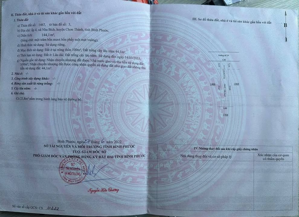 Đất Mặt Tiền Đường Nhựa 24 Nha Bích, Lộc Ninh - 145m² Giá 450 Triệu