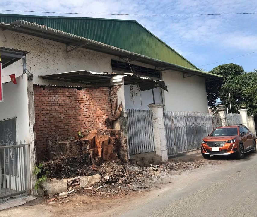 Kho Xưởng Kiên Cố 497m² Cặp Sông Bình Di, An Phú - Giá 4.9 Tỷ