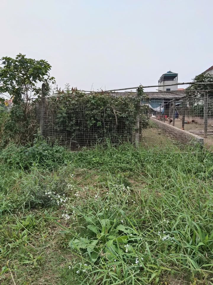 Đất Thổ Cư Vĩnh Lộc, Chương Mỹ - 109m² Mặt Tiền Rộng, Sẵn Sàng Đầu Tư