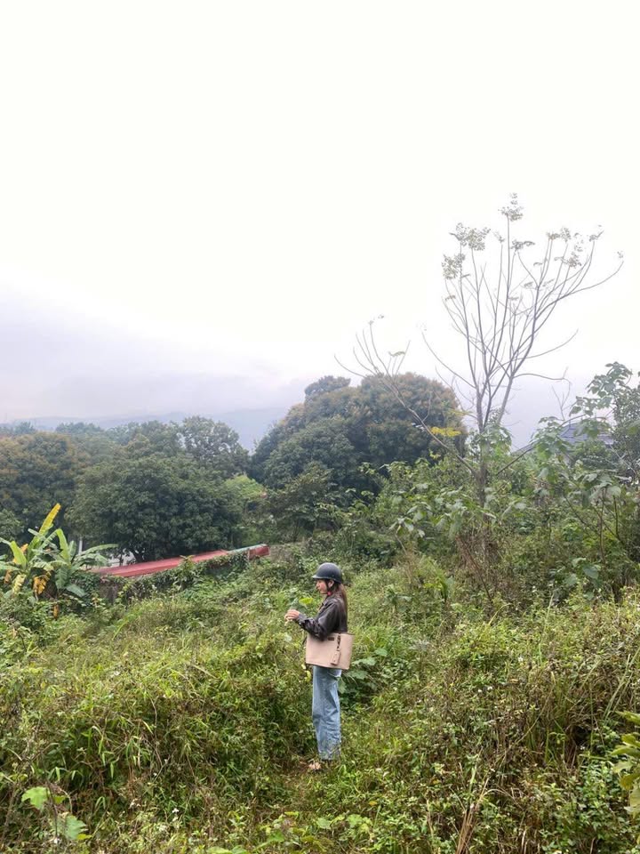 Đất nền Liên Sơn, Hòa Bình 700m² - Đầu tư sinh lời, nghỉ dưỡng lý tưởng