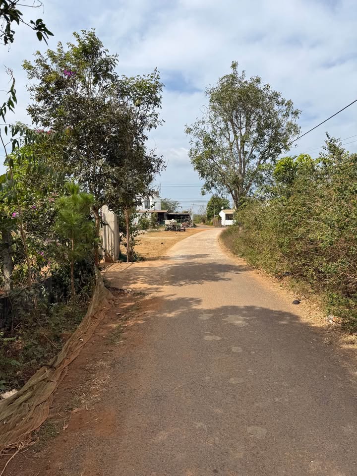 Đất nền Hẻm 3 Đào Duy Từ Quy Nhơn 200m² - Sổ đỏ chính chủ!