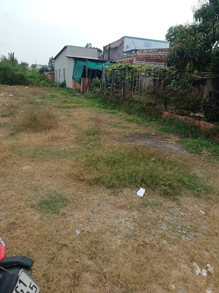 Bán đất Đức Hòa Long An 300m² giá 1.2 tỷ - Sổ đỏ chính chủ