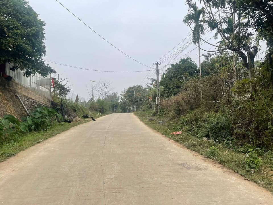 Đất nền Hợp Phong, Cao Phong 1000m² dưới 1 tỷ - Tiềm năng tăng giá!