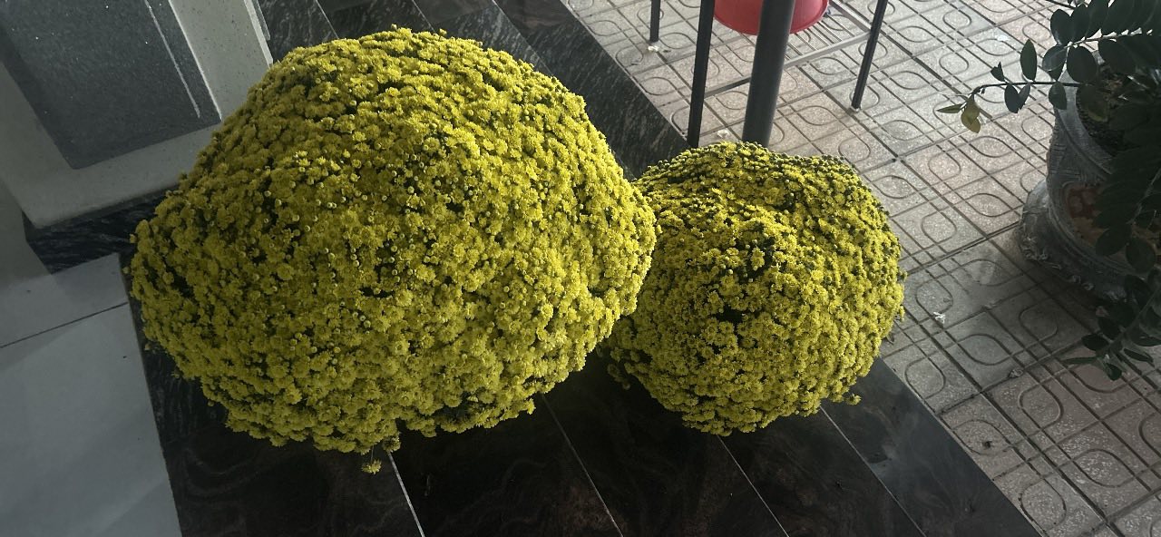 Đất Nền 250m² Sổ Đỏ Xã Vĩnh Hoà, Phú Giáo - Giá 850 Triệu