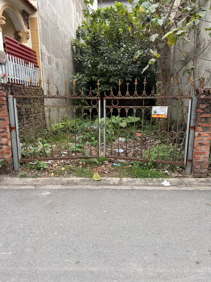 Đất nền Đa Tốn, Gia Lâm 68m² - Giá hơn 5 tỷ, ô tô tránh