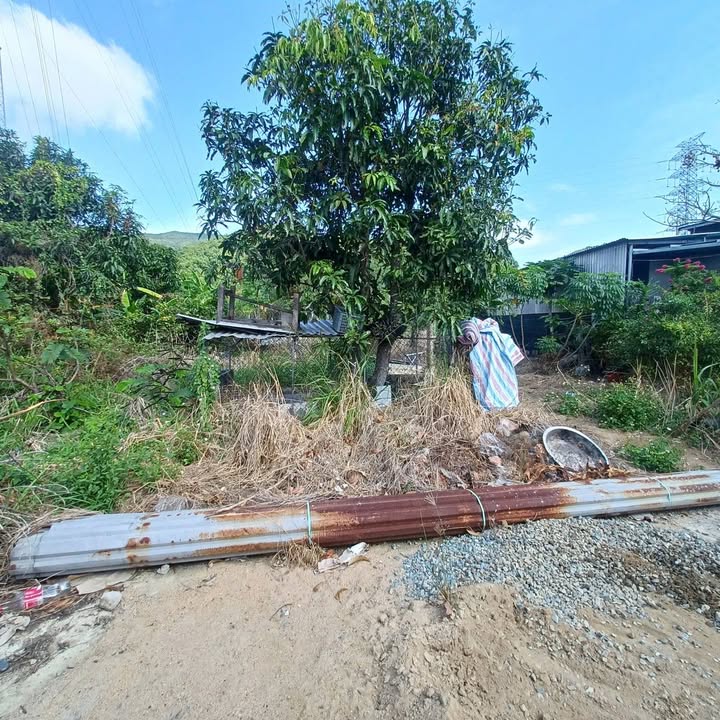 Đất nền Nha Trang Thôn Như Xuân 173.5m² giá 1.3 tỷ - Tiềm năng tăng giá!