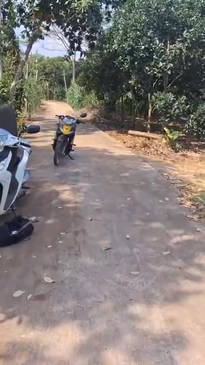 Đất Vườn 1000m² Sổ Đỏ Sông Ray - Cơ Hội Đầu Tư Sinh Lời 780 Triệu