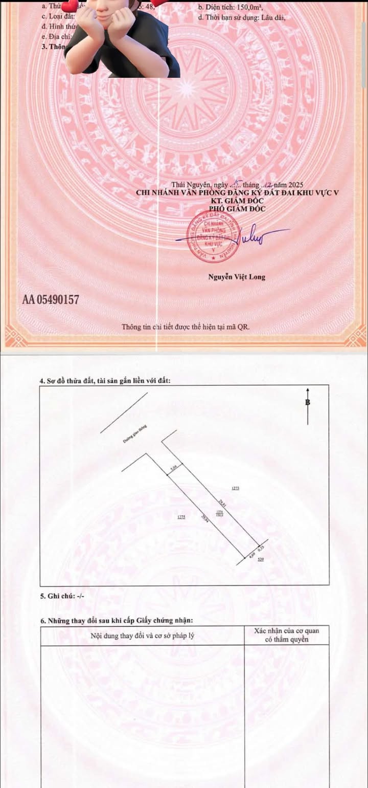 Đất nền Tân Đức, Phú Bình 150m² - Sổ đỏ chính chủ, vị trí vàng!