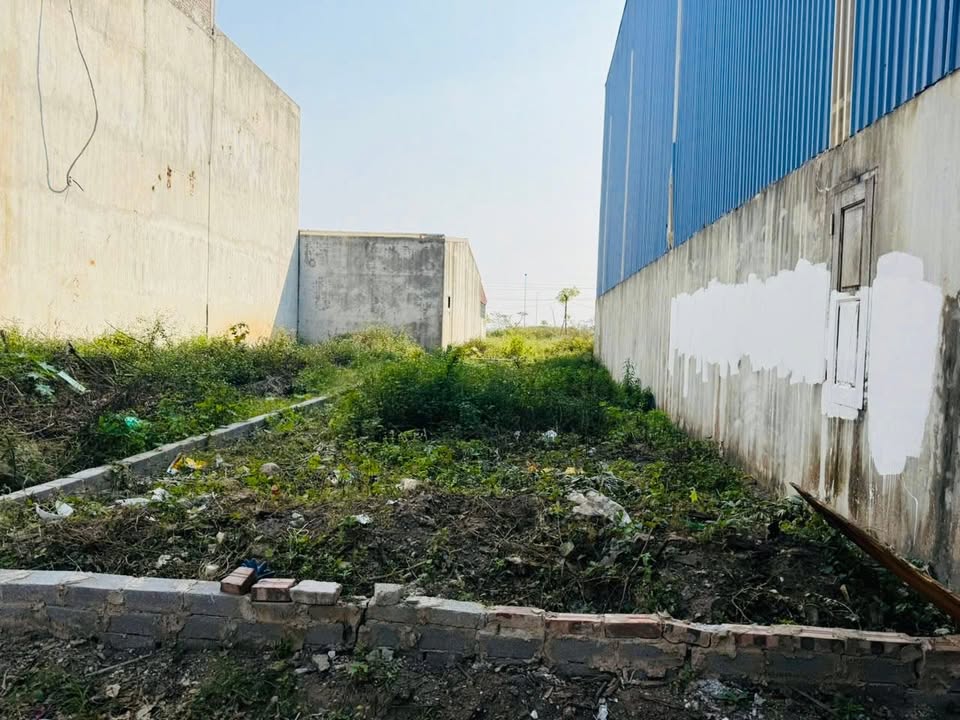 Đất nền Nhật Tân, Tiên Lữ 100m² - Tiềm năng tăng giá vượt trội!