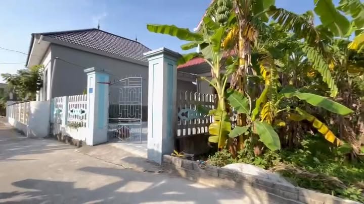 Đất nền Đồng Lợi 100m² Triệu Sơn - Sổ hồng sẵn, giá tốt!