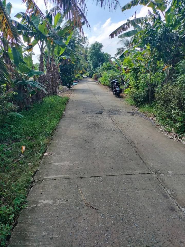 Đất nền Xã Mỹ An, Tháp Mười 364m² giá 385 triệu - Sổ đỏ chính chủ!