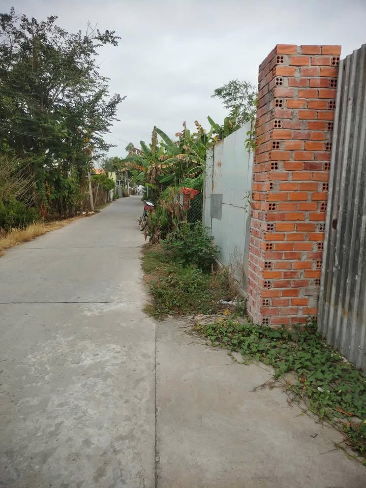 Đất Nền Định An, Lấp Vò 764m² - Sổ Đỏ Chính Chủ!