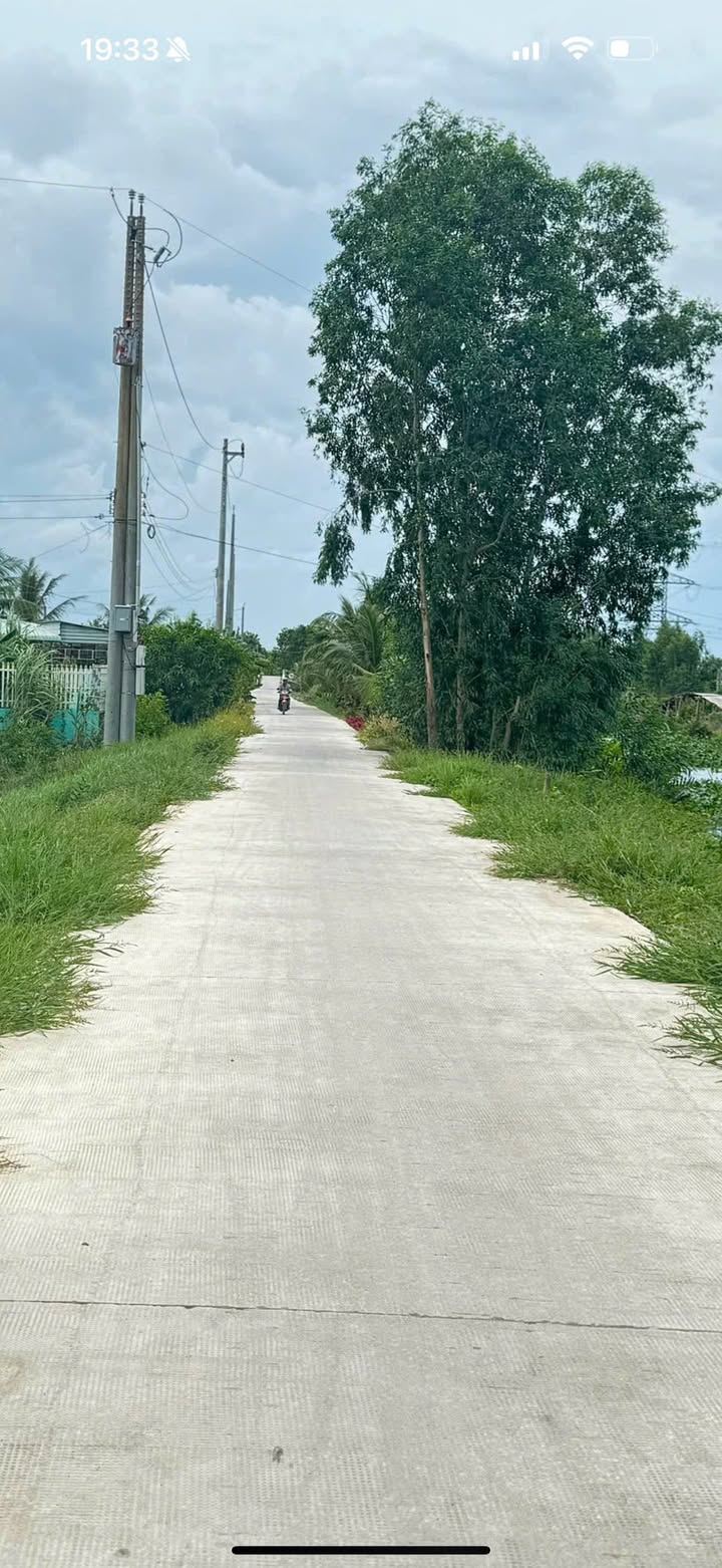 Đất vườn Long Thuận Thủ Thừa 10.000m² giá 4.7 tỷ - Đầu tư dài hạn