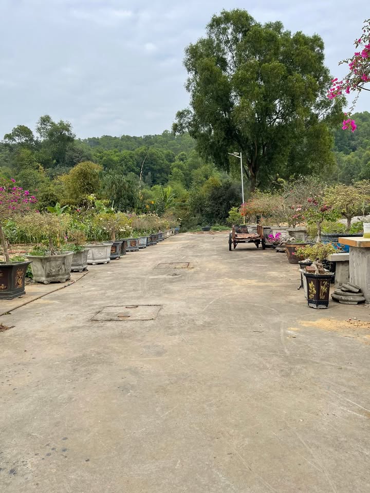 Đất nền Phù Lương, Quế Võ 90m² - Đường to ô tô tận đất!