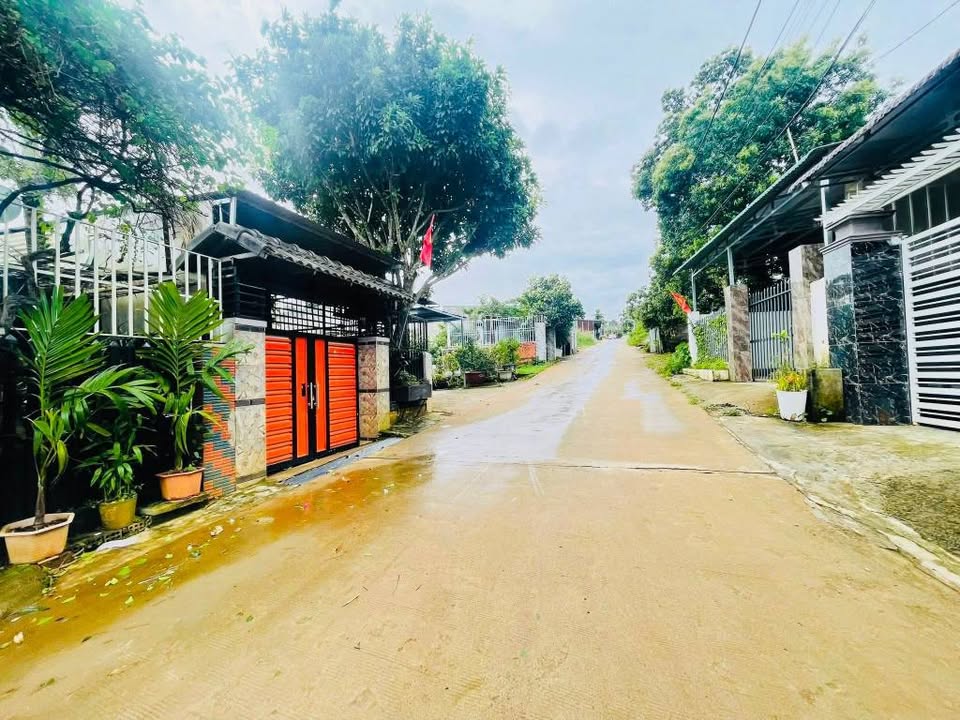 Nhà Cấp 4 Hẻm T79, Nghĩa Đức, Đạ Tẻh - 120m² Giá 1.5 Tỷ