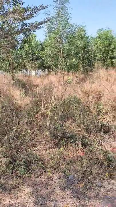 Đất nền An Viễn Trảng Bom 100m² 995 triệu - Sổ đỏ chính chủ