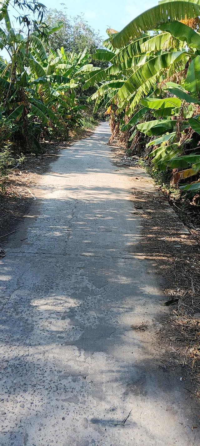 Đất nền Xã Tân Thạnh 2400m² - Sổ đỏ chính chủ, ô tô tới đất!