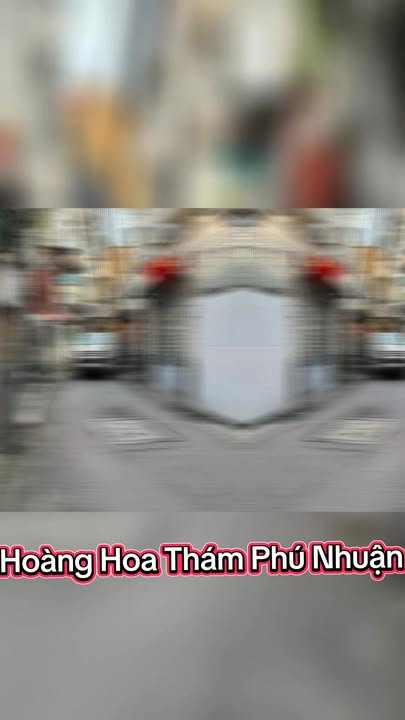 Nhà Hẻm Xe Tải Thông 50m² Phú Nhuận - Sổ Hồng - 8 Tỷ