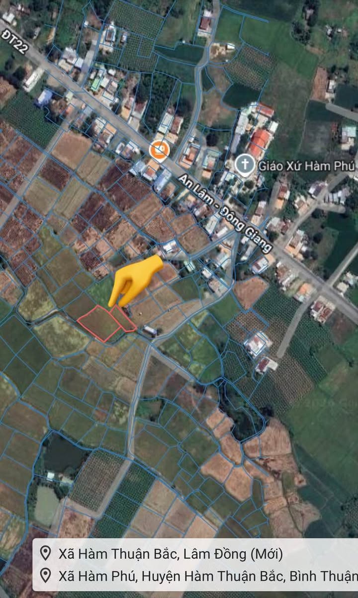 Đất Nền Hàm Phú 7200m² - 2 Sổ Riêng - Giá 200 Triệu Chính Chủ