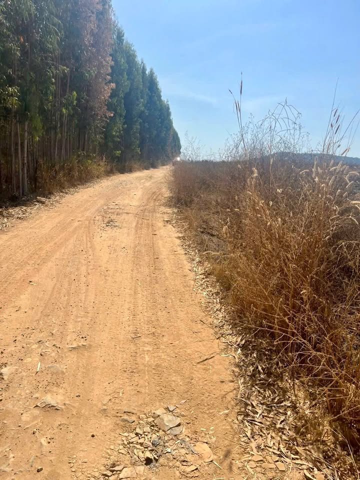 Đất Vườn Hàm Cường Bình Thuận 2897m² - Sổ Hồng Sẵn Sàng