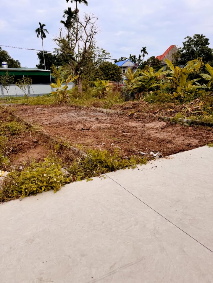 Đất nền KCN Tràng Duệ 3 75m² - Đầu tư sinh lời bền vững tại Hải Phòng