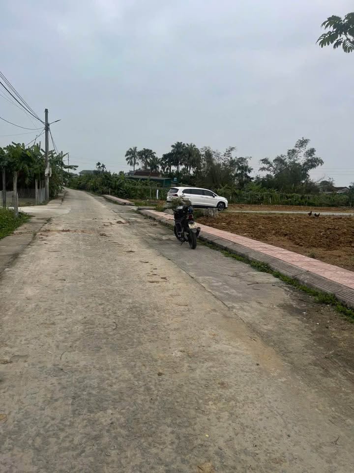 Đất nền Cẩm Thành 100m² chỉ 450 triệu - Tiềm năng tăng giá!