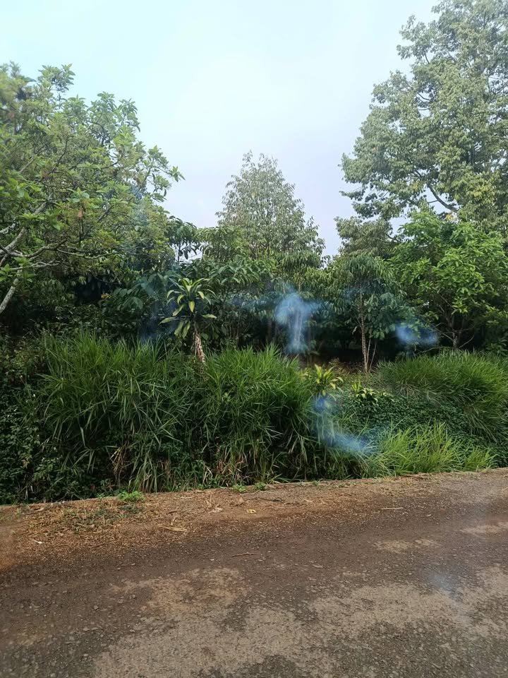 Đất Lộc An Bảo Lâm 1440m² giá 1.79 tỷ - Sổ đỏ chính chủ