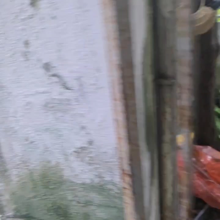 Cho thuê nhà nguyên căn Hoa Lư, Ninh Bình - 70m², 2PN, Sẵn sàng ở ngay