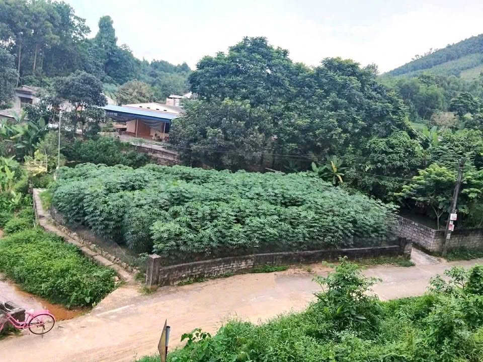 Đất Nền Cù Vân - Phú Lương 181m² Sổ Hồng Sẵn Sàng