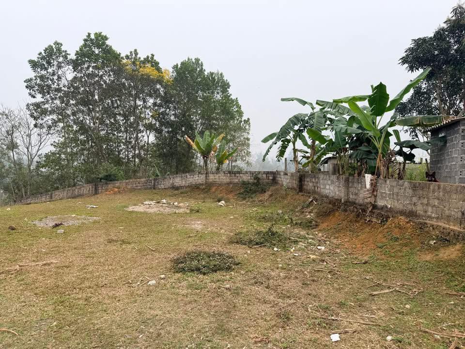 Đất nền 1000m² Cao Phong - Cắt lỗ sâu, chỉ dưới 1 tỷ, sẵn 500m² thổ cư